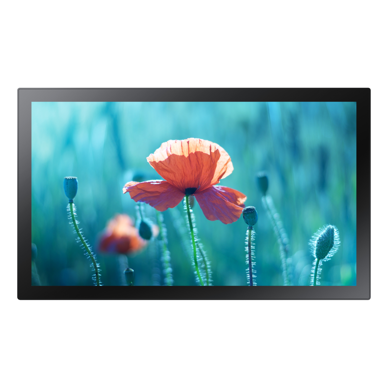 Samsung LED Display QB13R-TM 33 Cm (13 Inch) 1920 X 1080 Full HD
