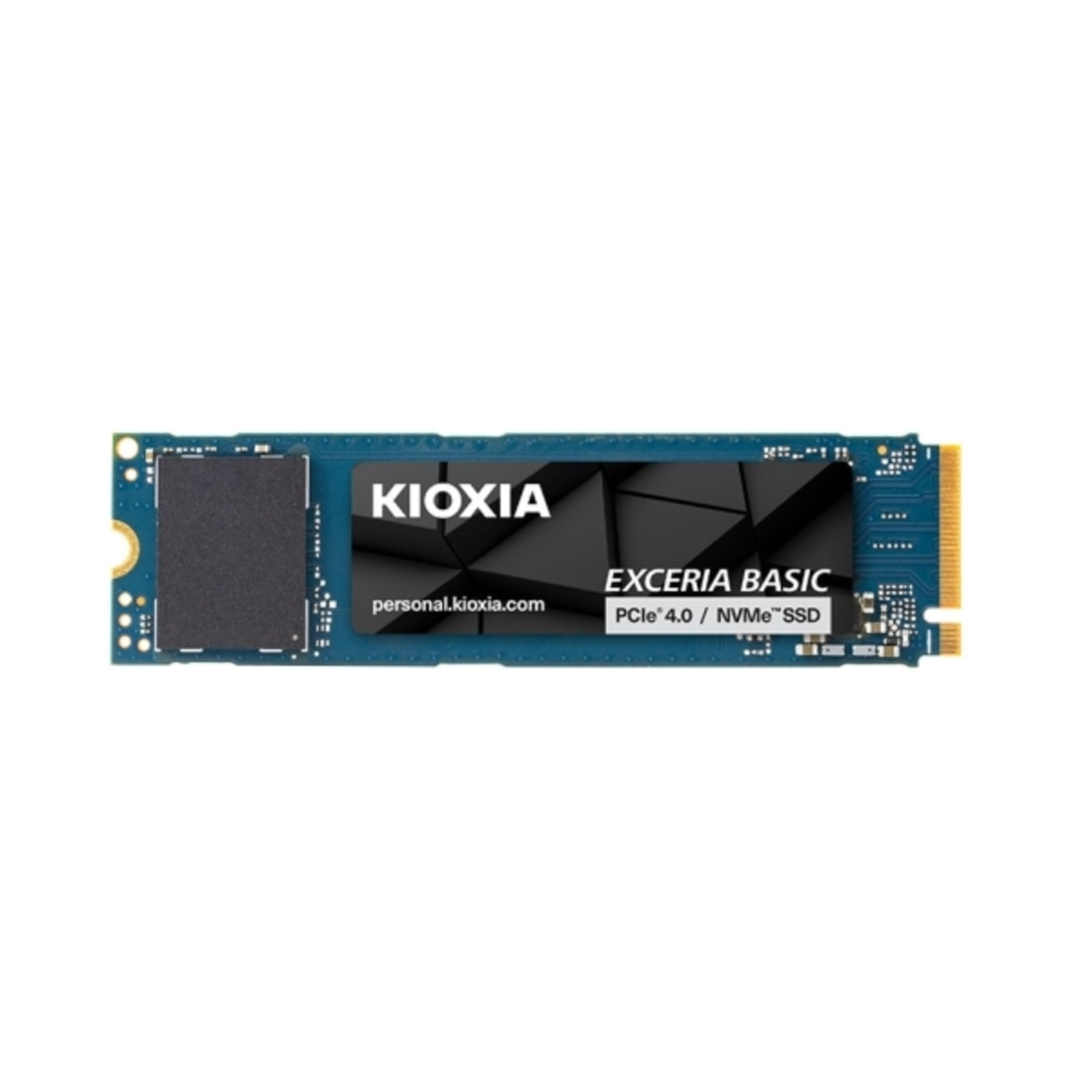 Kioxia Exceria Basic 1 TB SSD PCIe 4.0 X4 M.2 2280