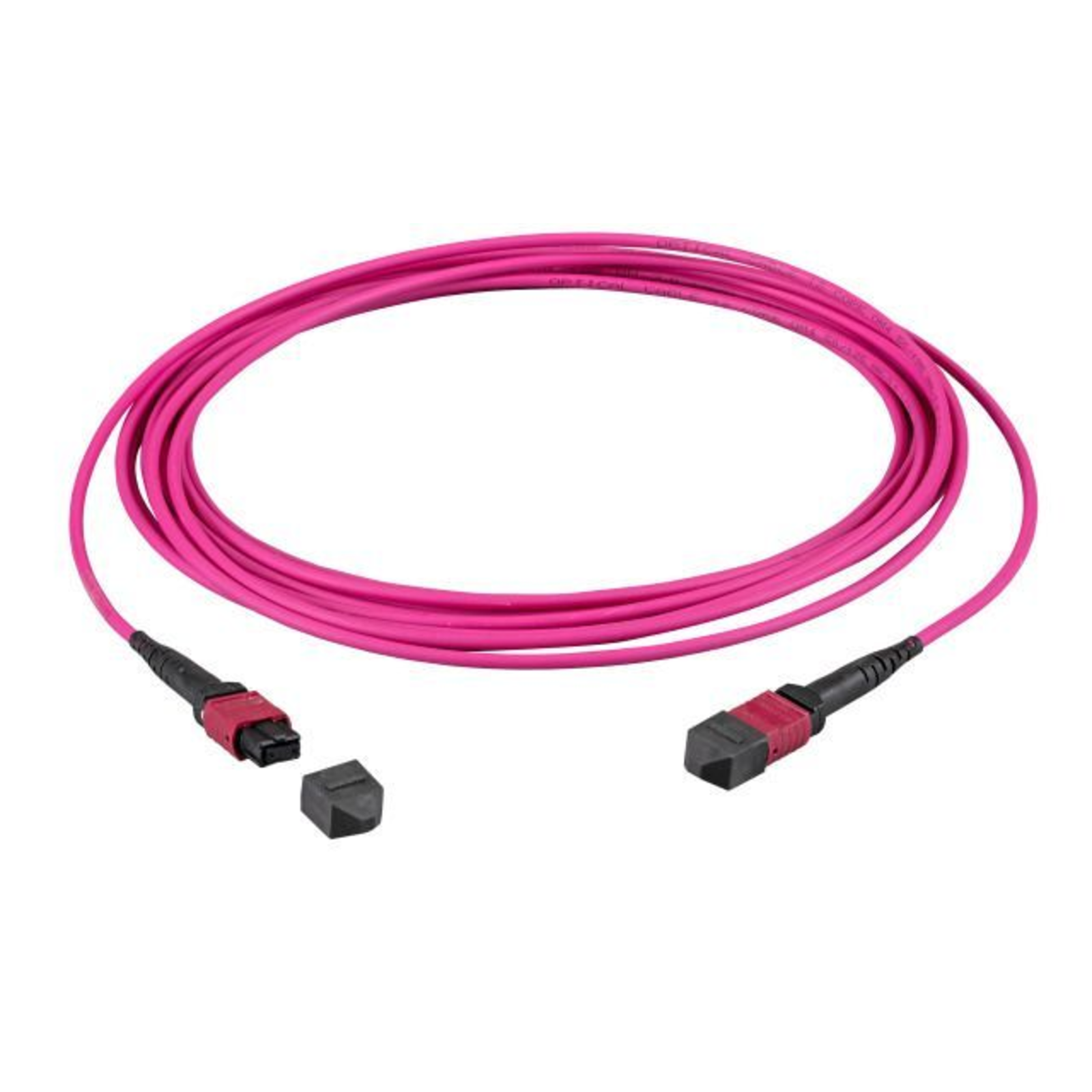 EFB Elektronik MTPF24MTPFOM4-15-A 15 M OM4 MTP MTP