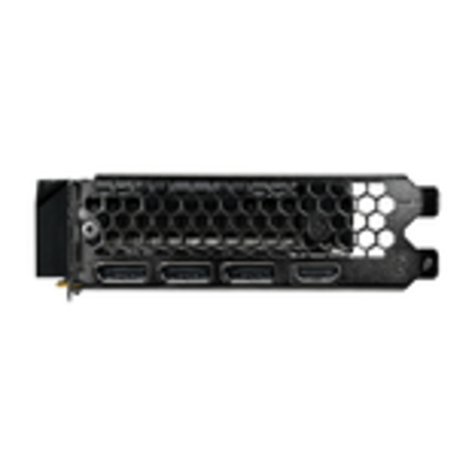 Gainward GeForce RTX 5050 Pegasus 5050 GDDR6 Graphics Card PCI Express