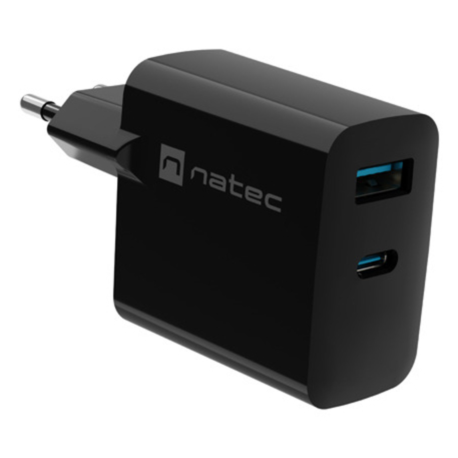 Natec Ribera GAN 1X USB-A + 1X USB-C 45W Power Charger Black