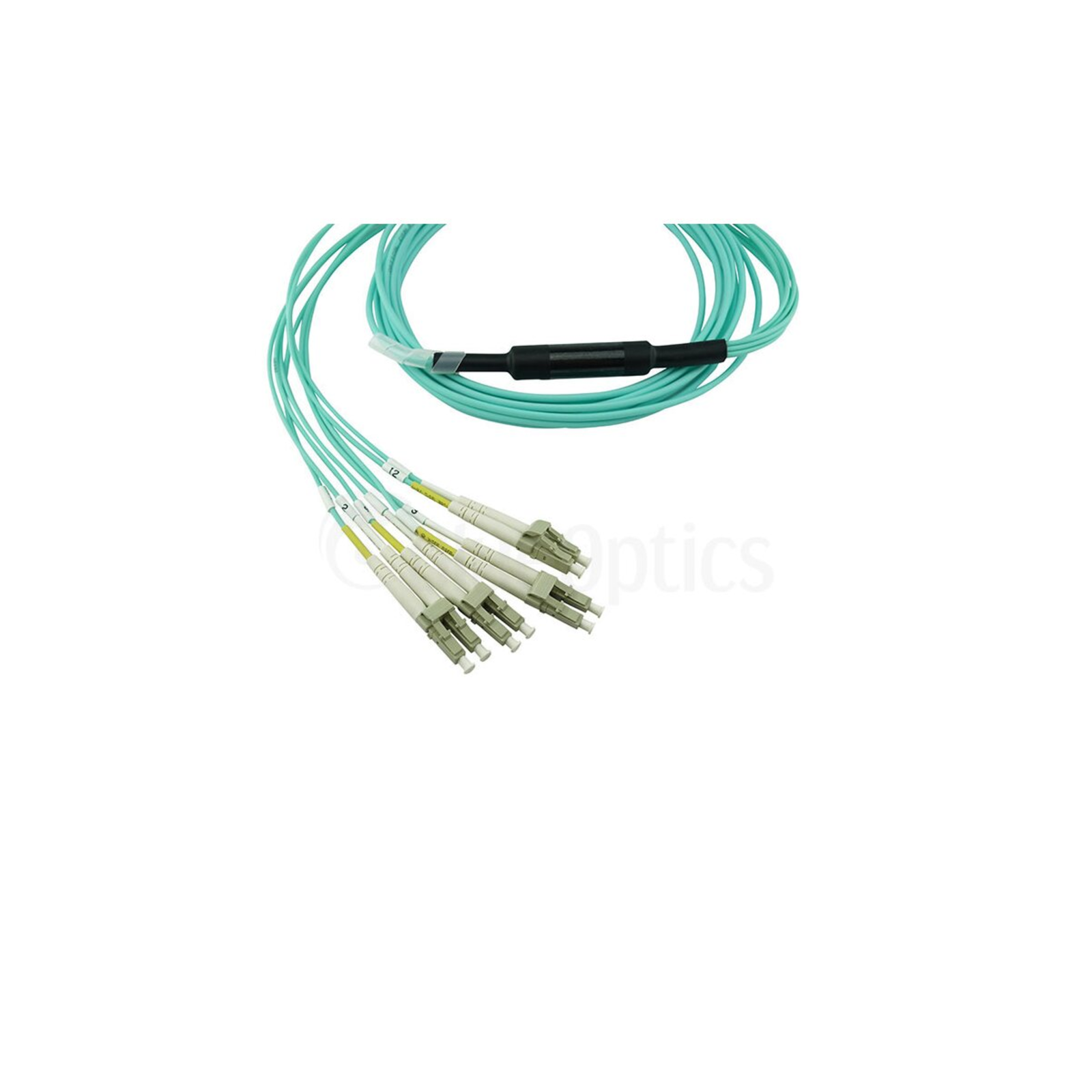 BlueOptics Chelsio OCTCABLE1M-SR Compatible MPO-4xLC Multimode OM3 Patch Cable 1m