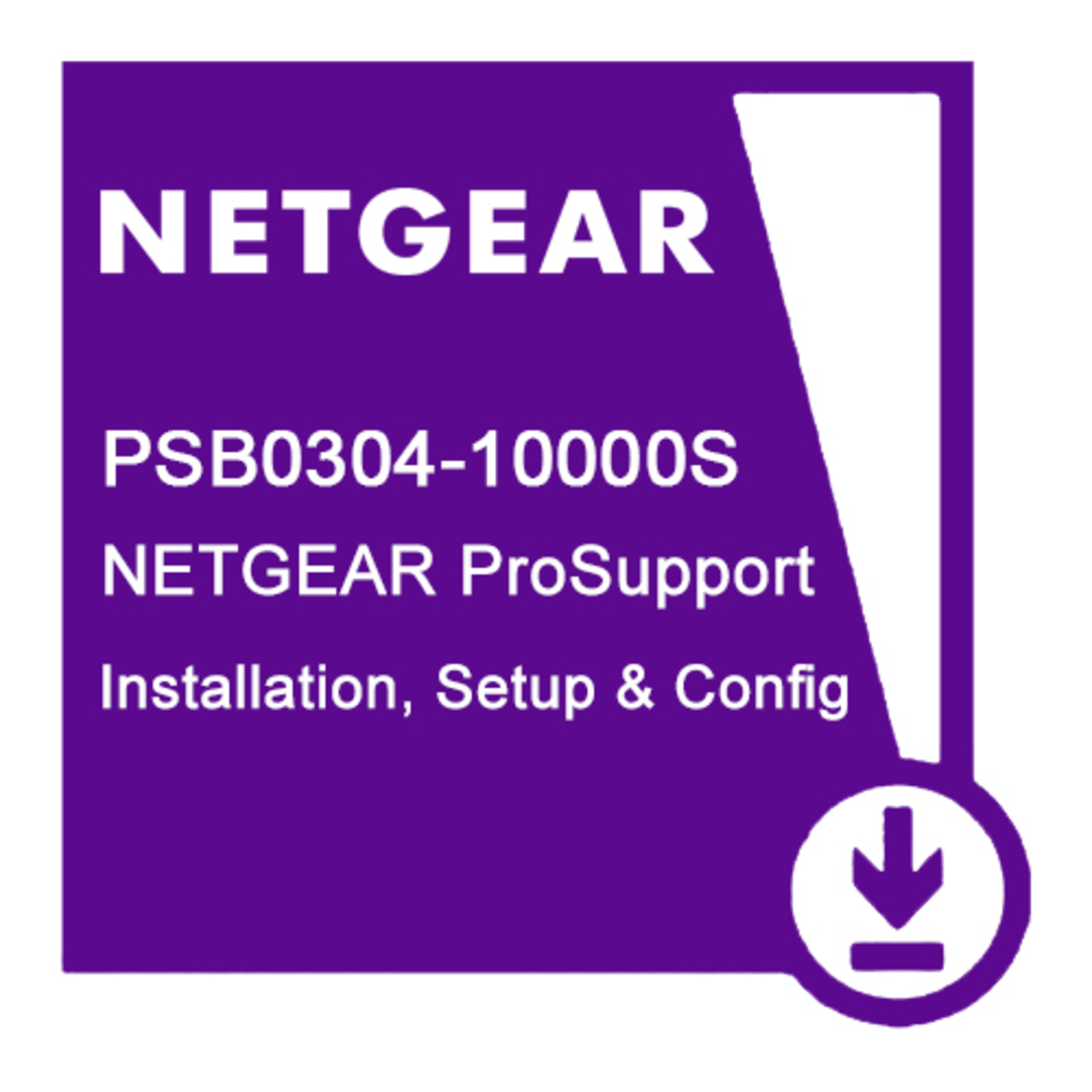 NETGEAR PROFESSIONAL INSTALLATION SETUP + CONFIGURATION REMOTE ACCESS SERVICE