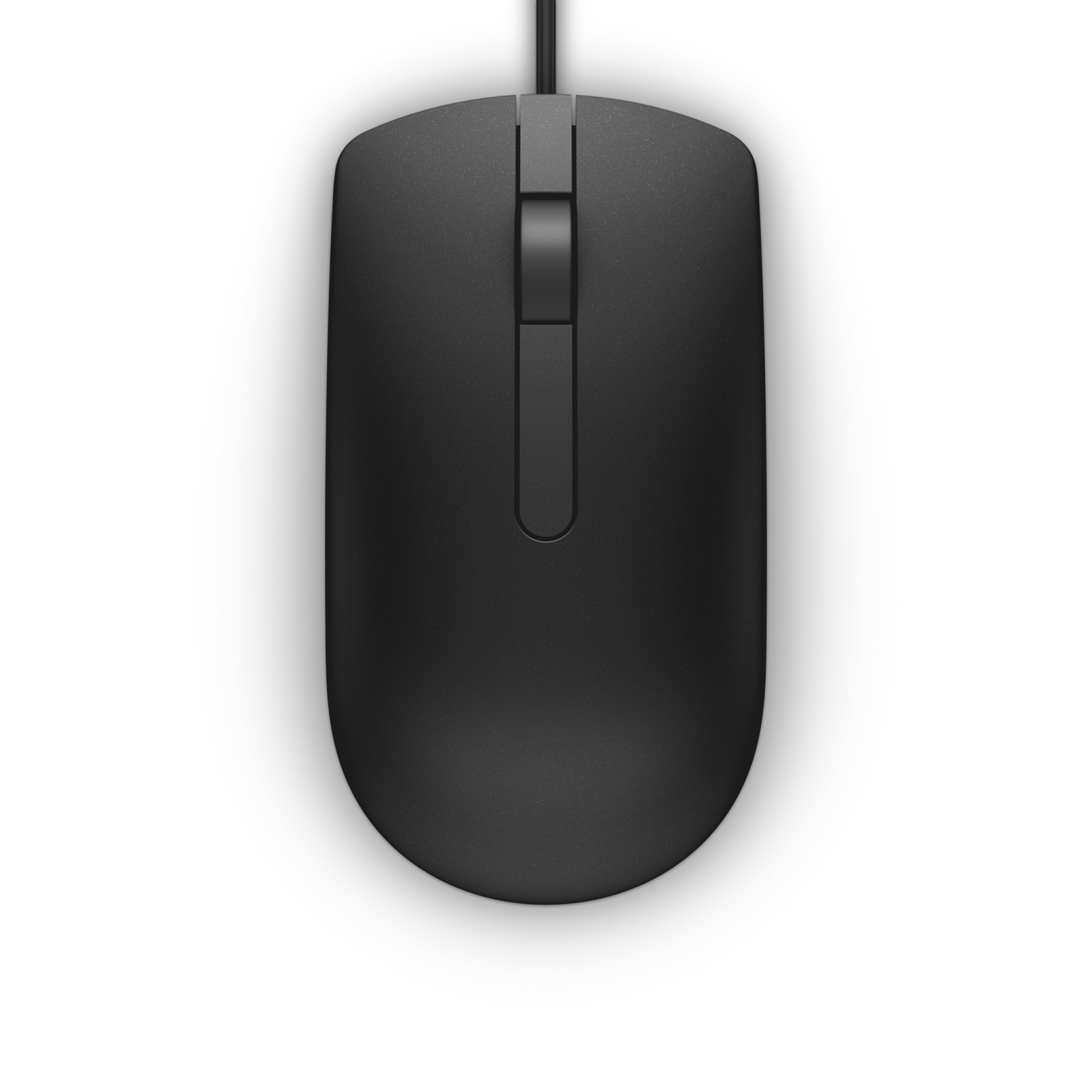 Dell MS116 USB Optical Mouse W125718746 Mouse Optical