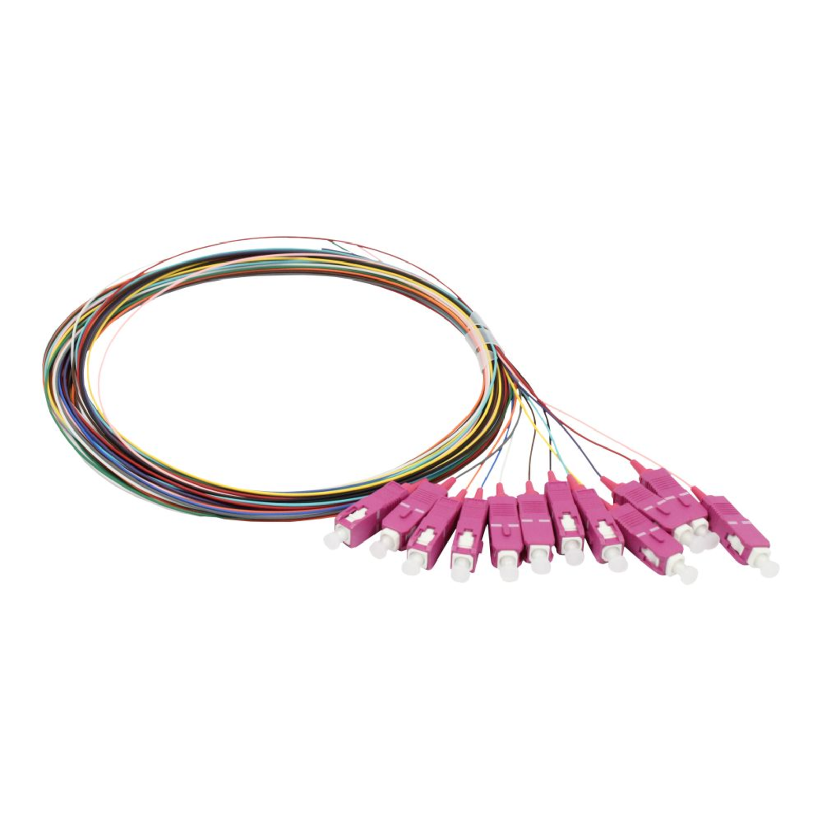 Synergy21 Fibre Optic Pigtail SC 9/125u 2mtr OS2 12-pack Coloured
