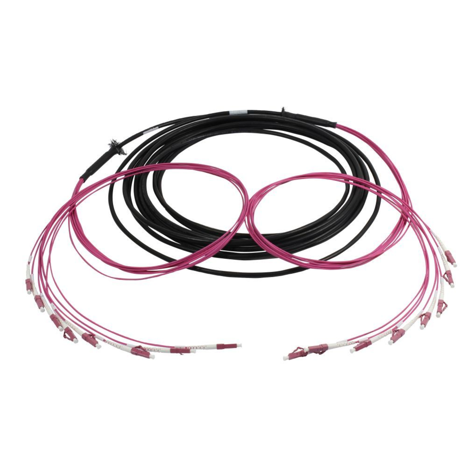 Synergy21 S217073 40 M U-DQ ZN BH OM4 8x LC 8x LC