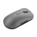 LENOVO Wireless Multi-Mode Pro Plus Mouse 6050 Luna Grey