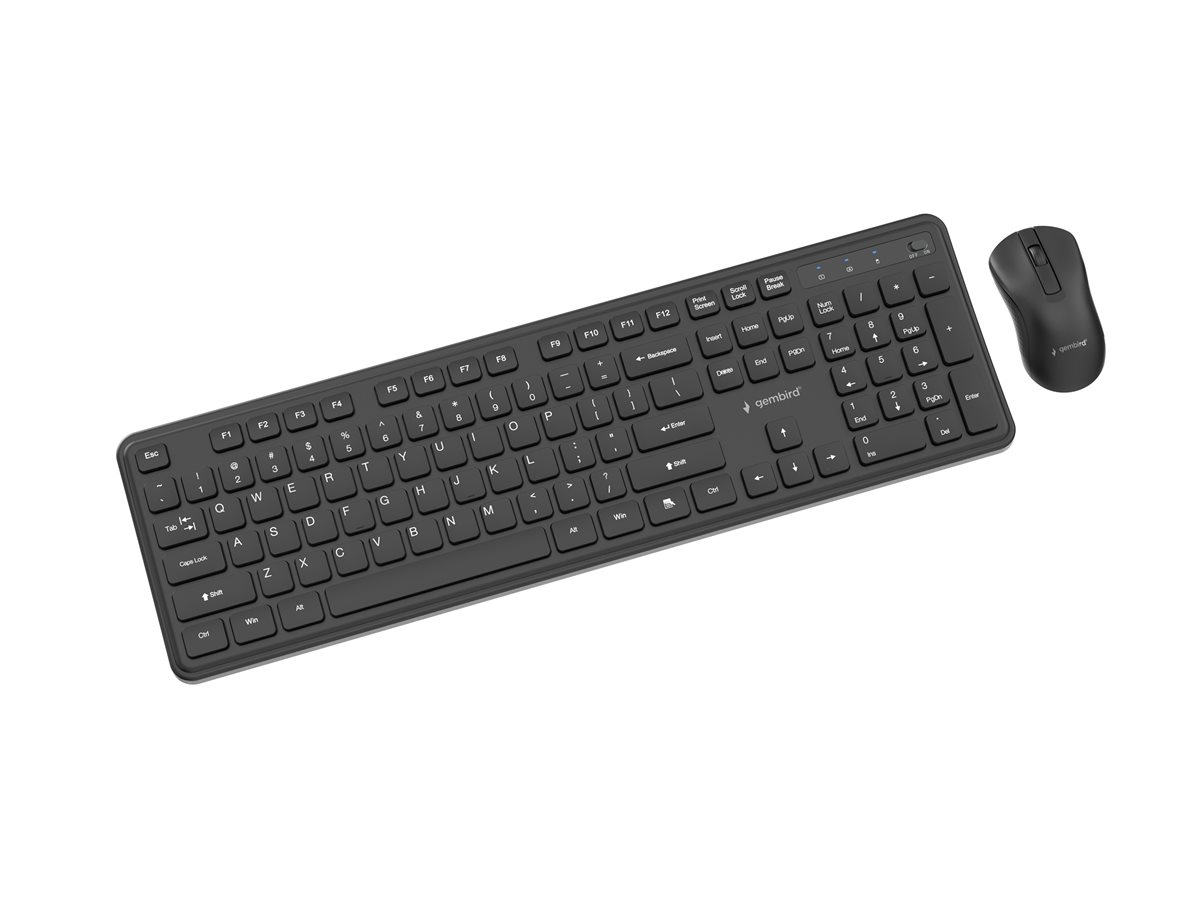 GEMBIRD Slim Pro Business wireless desktop set black US layout