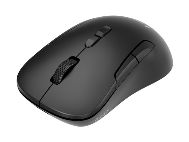 GEMBIRD Dual-mode 7-button wireless mouse 2.4G + BT black