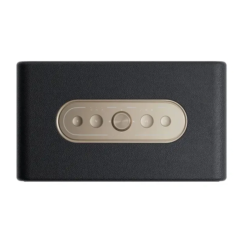 QCY SP300 Wireless Speaker (Black)