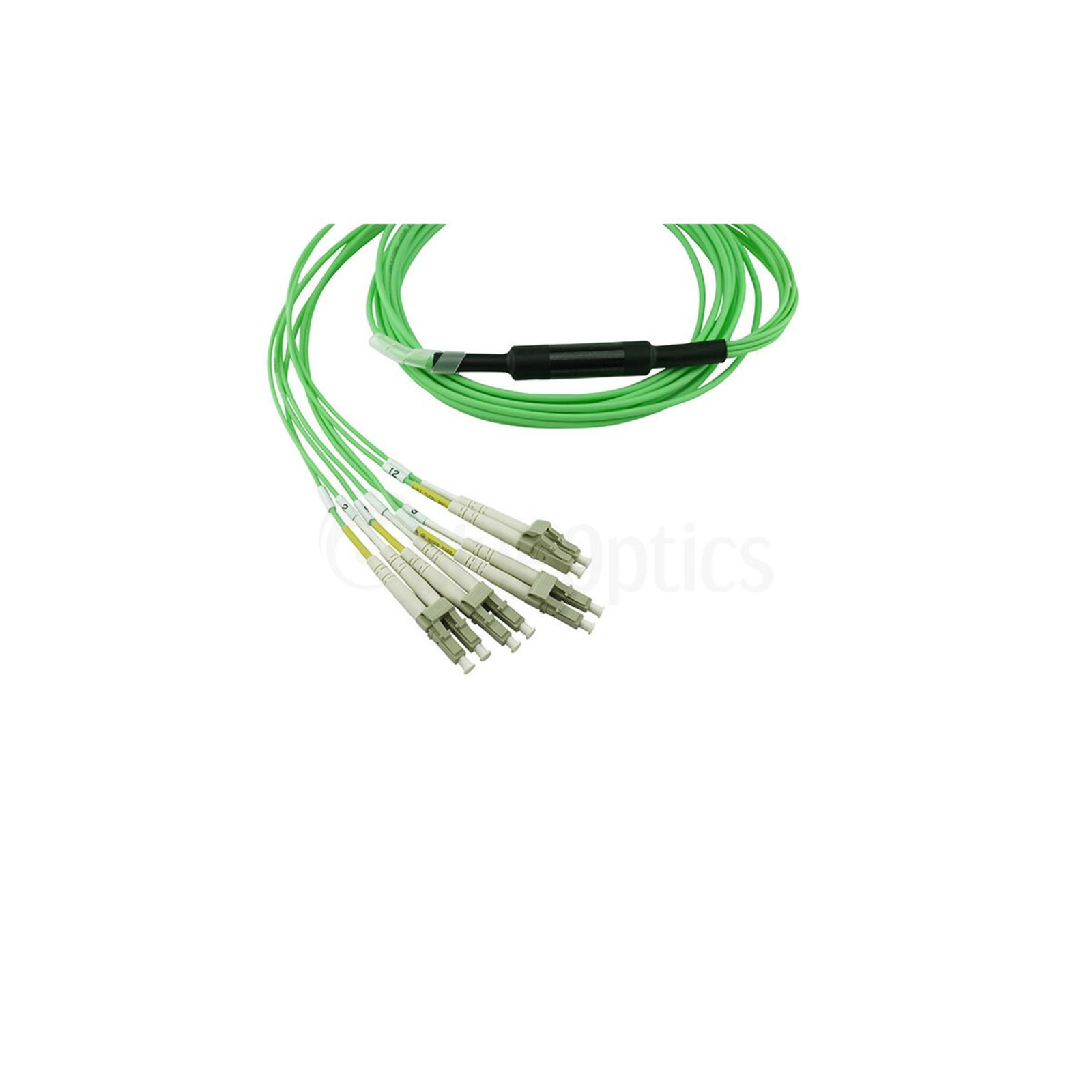 BlueOptics Fiber Optic MPO/4xLC Breakout Cable OM5 1m