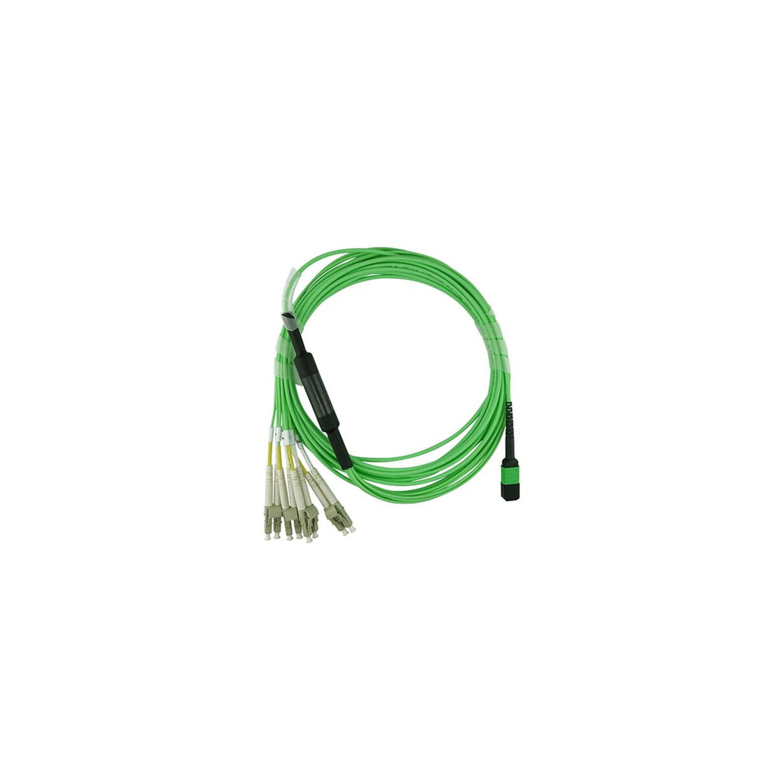 BlueOptics Fiber Optic MPO/4xLC Breakout Cable OM5 5m