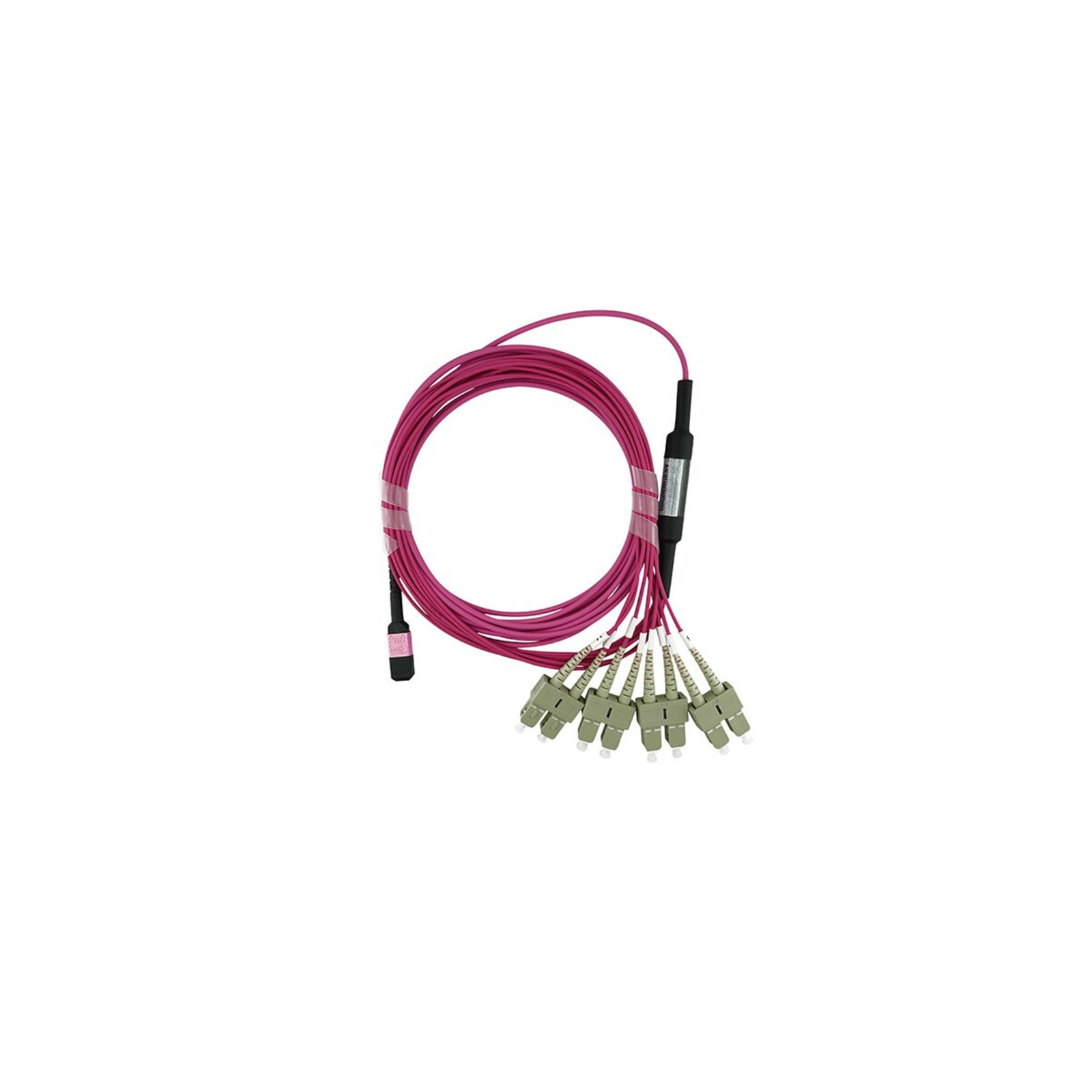 BlueOptics Fiber Optic MPO/4xSC Breakout Cable OM4 2 Meters