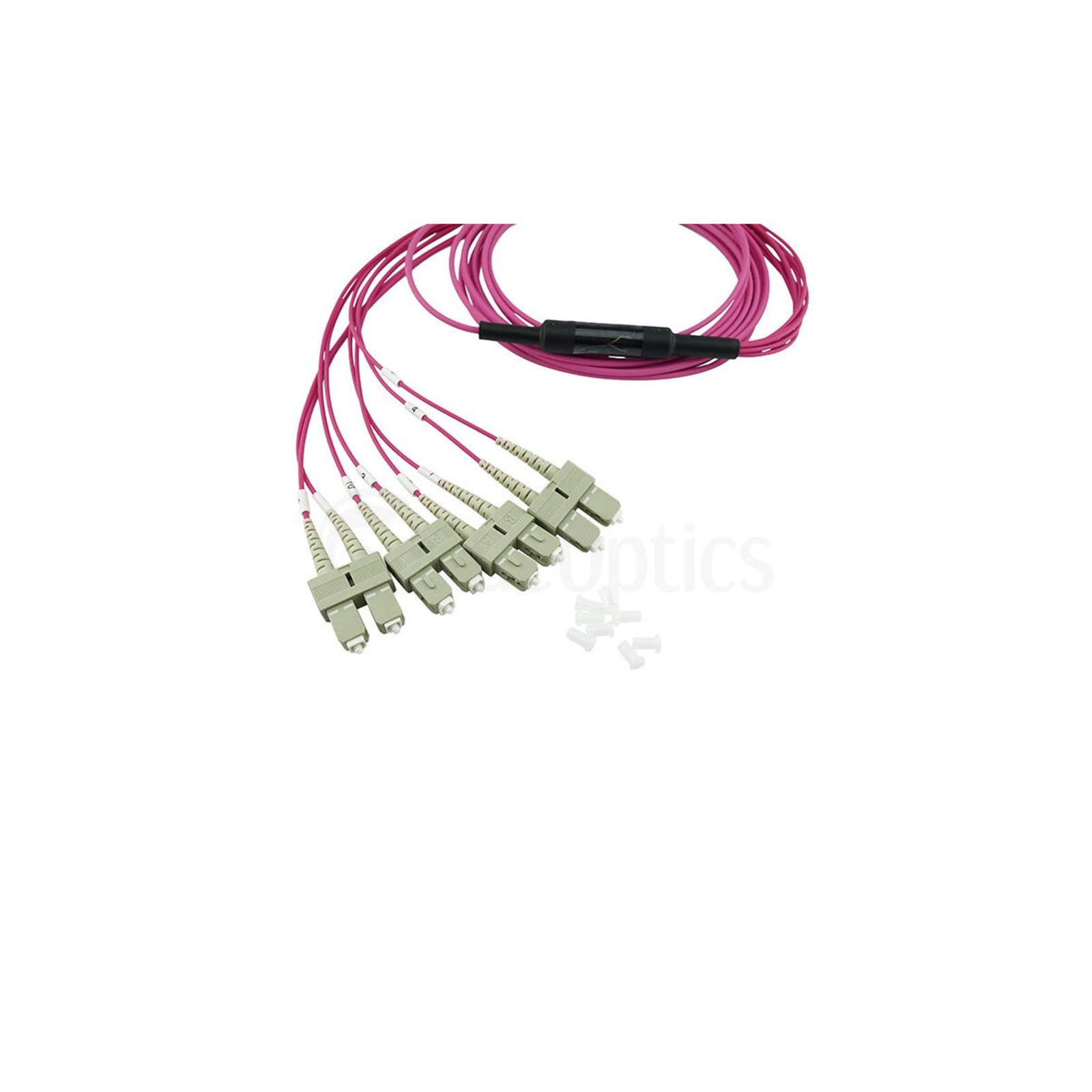 BlueOptics Fiber Optic MPO/4xSC Breakout Cable OM4 5m