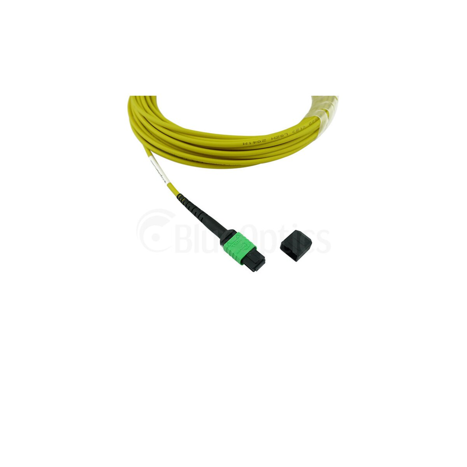 BlueOptics Fiber Optic MPO Trunk Cable, Single-Mode, 12-Core, Type A