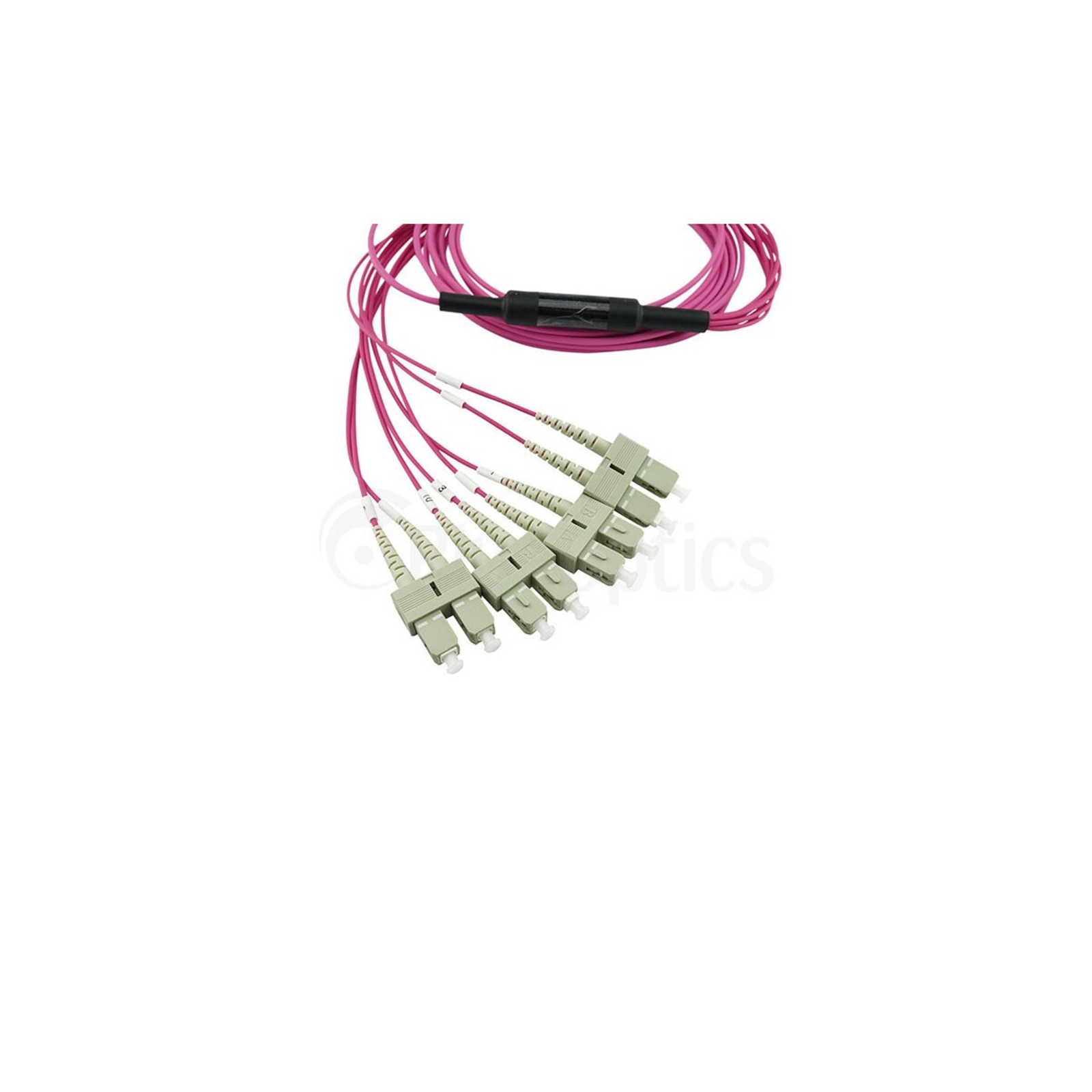 BlueOptics Fiber Optic MTP/4xSC Breakout Cable OM4 1m