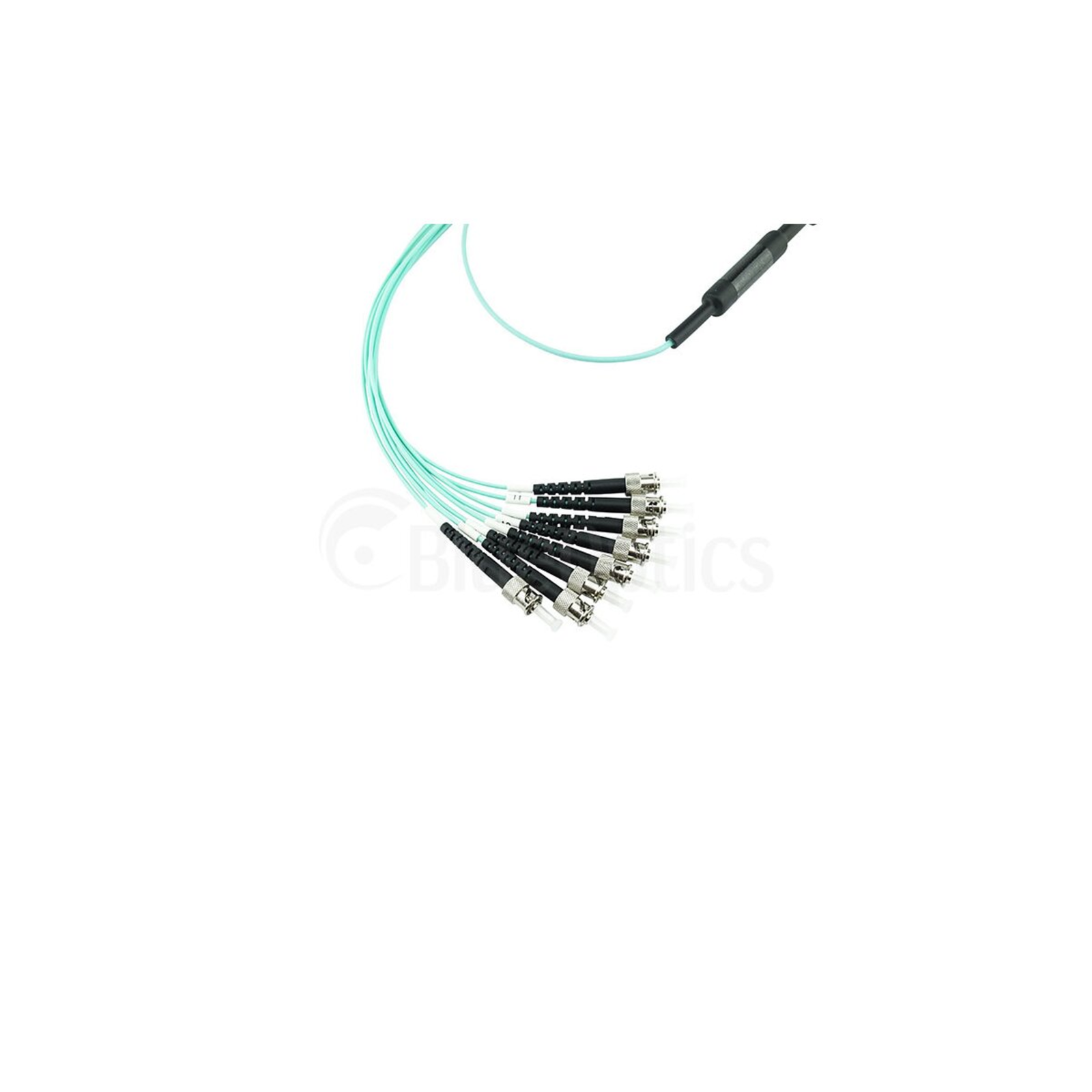 BlueOptics Fiber Optic MTP/4xST Breakout Cable OM3 3m