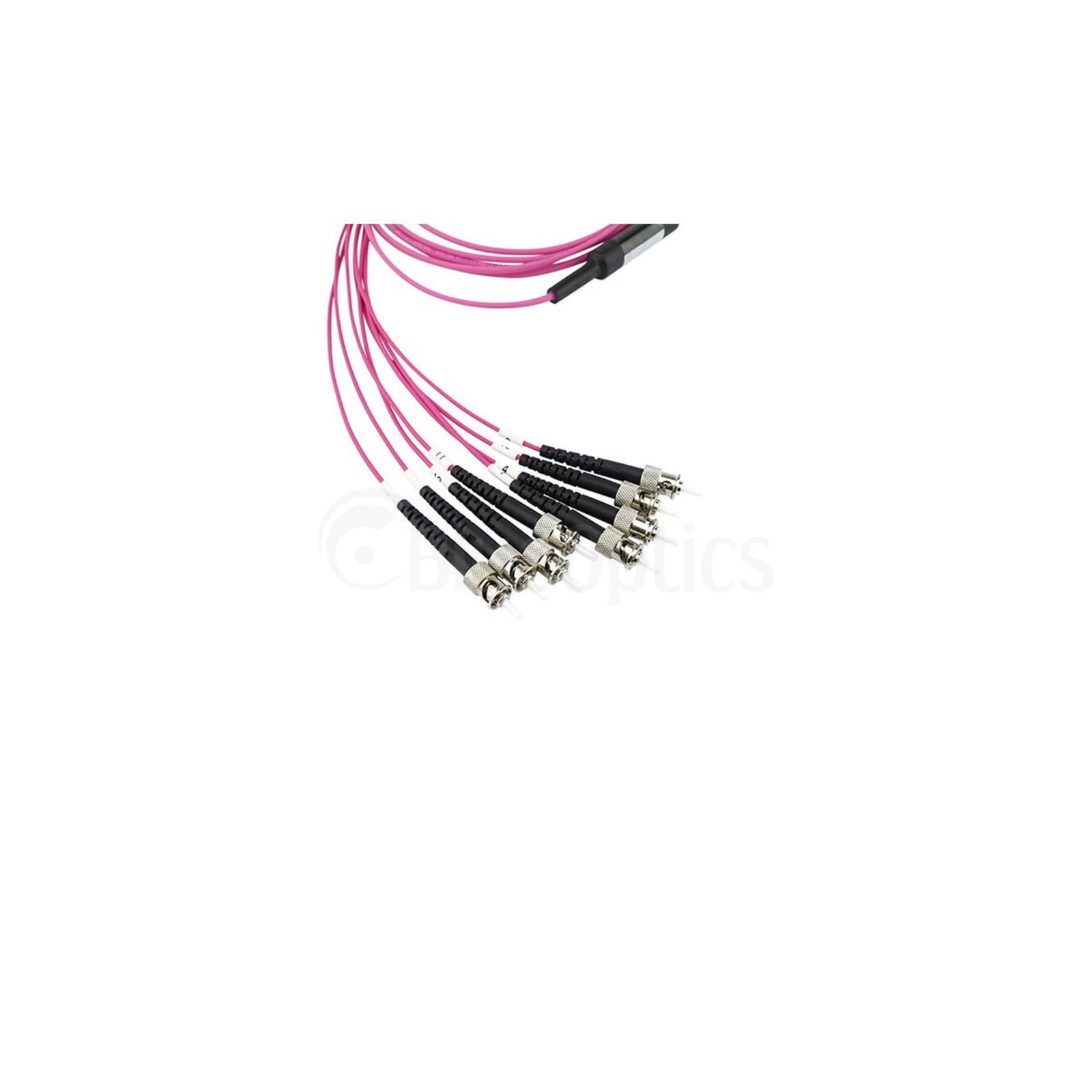 BlueOptics Fiber Optic MTP/4xST Breakout Cable OM4 3m