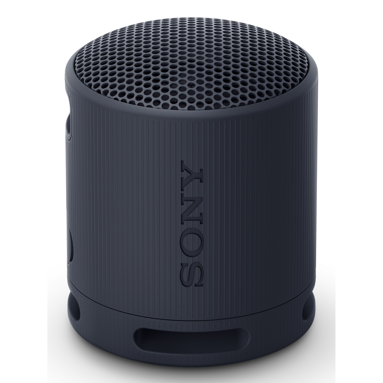 Sony SRS-XB100 Speaker Black