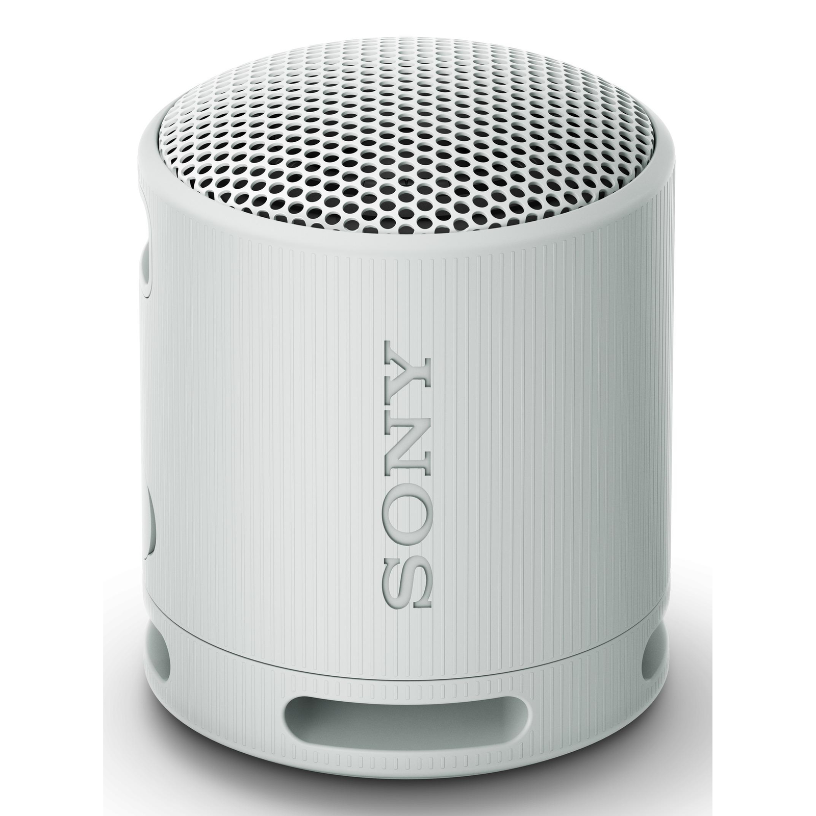 Sony SRS-XB100 Speaker Grey