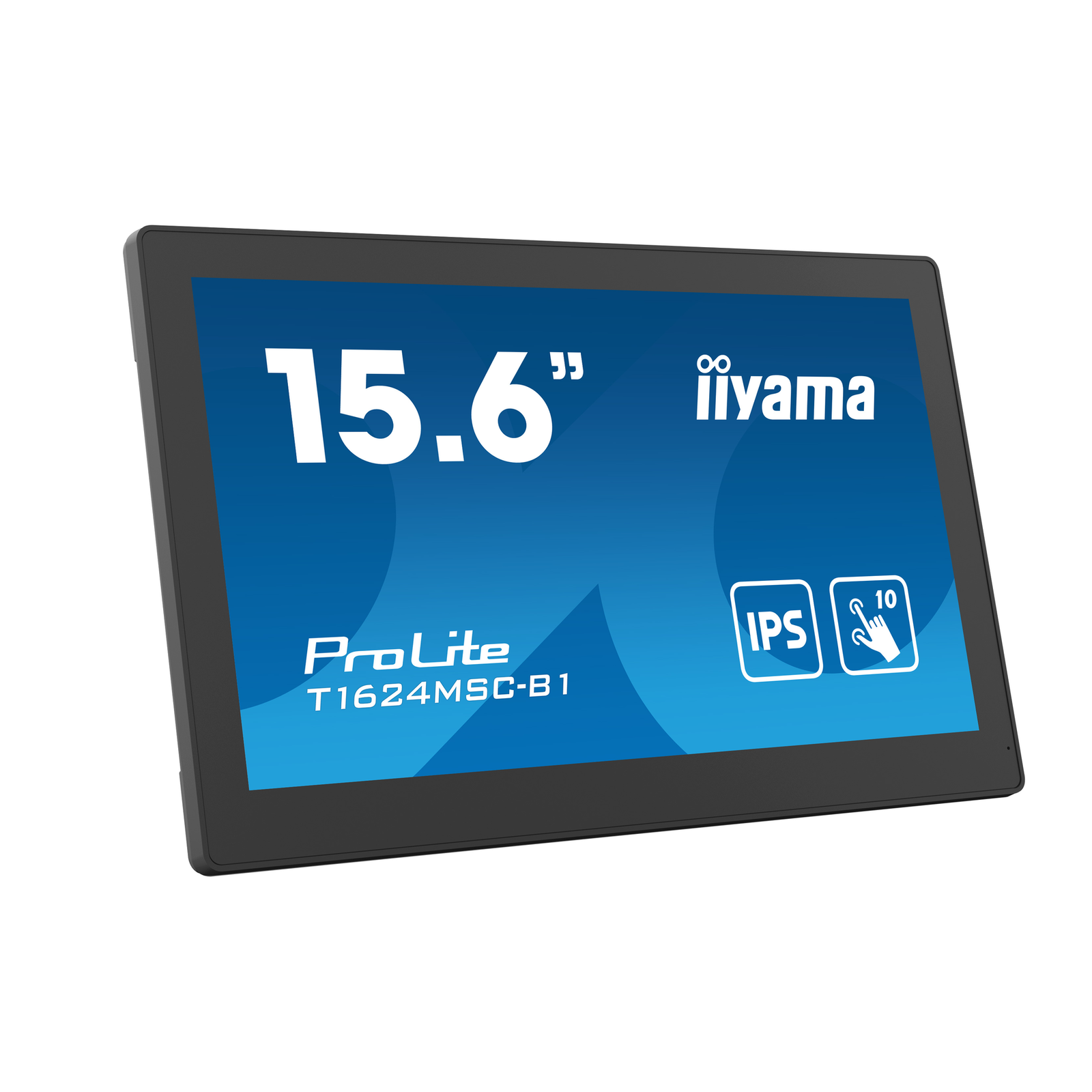 iiyama 39.5cm 15.6 TFT Monitor
