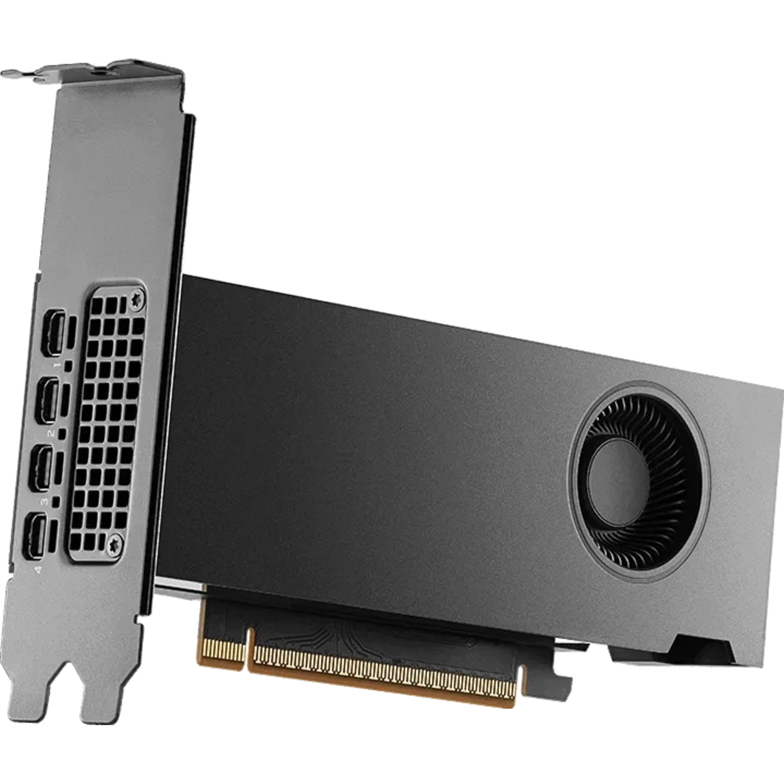 NVIDIA RTX PRO 2000 Blackwell Bulk
