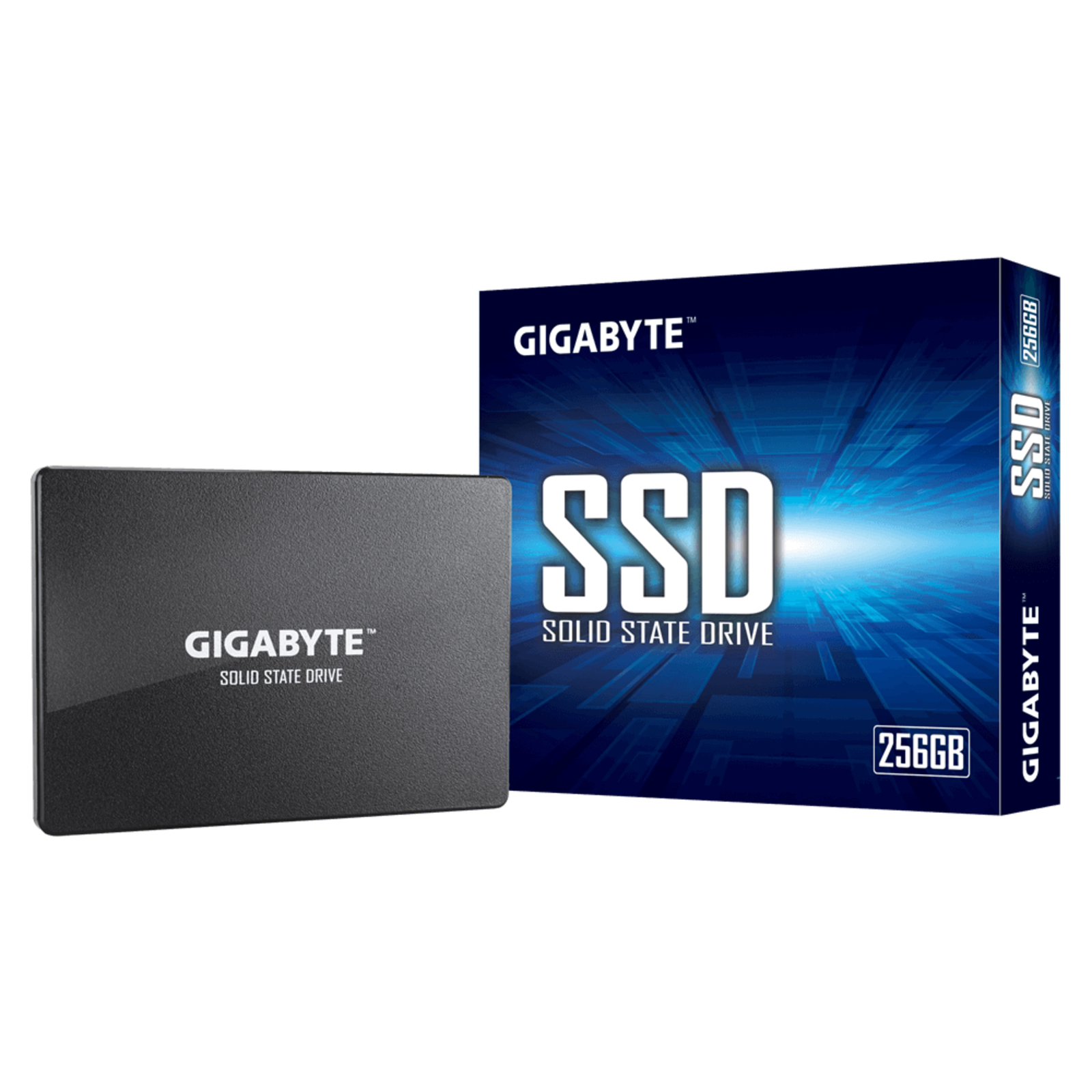 GIGABYTE GP-GSTFS31256GTND internal solid state drive 256 GB 2.5