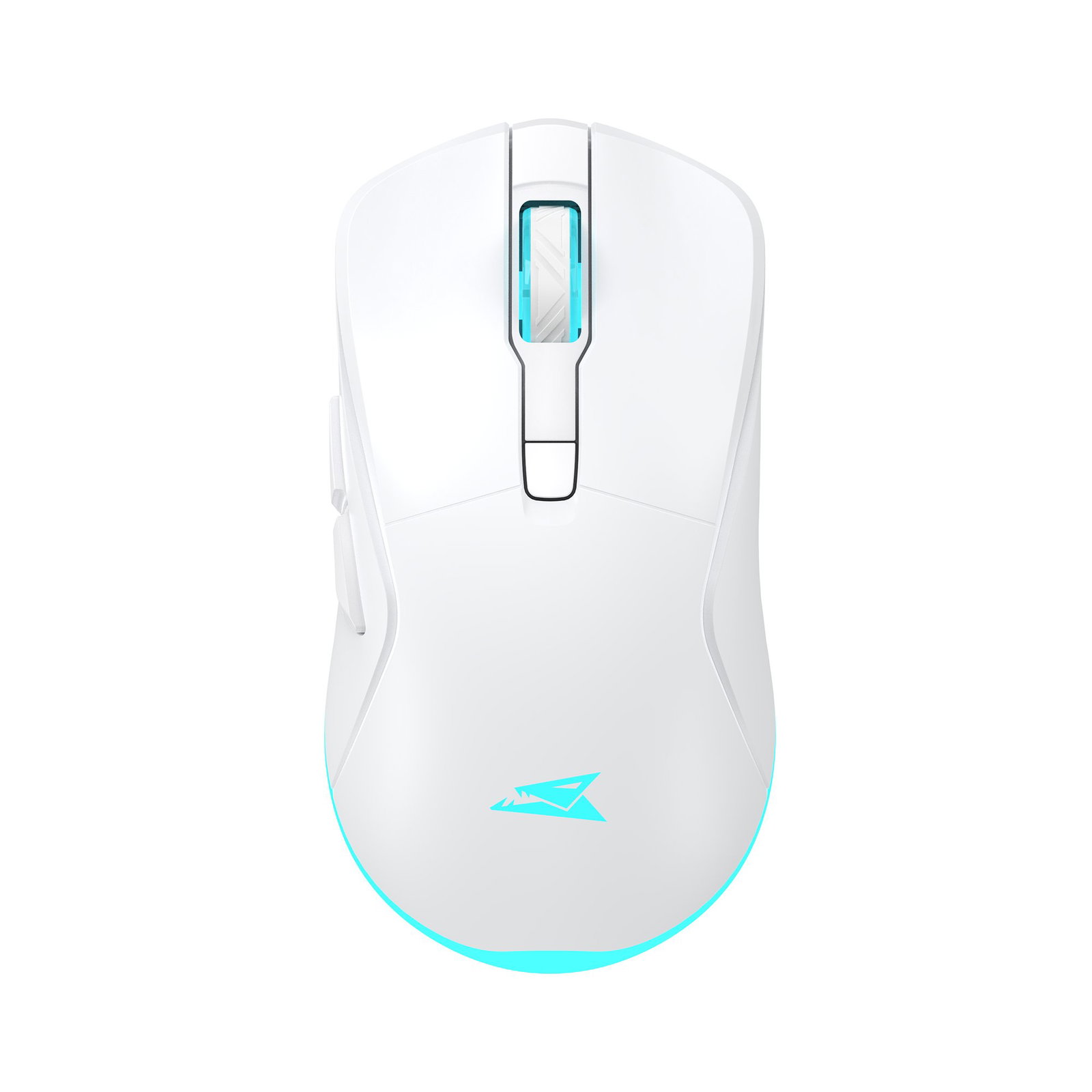 Baracuda TURTLE BGM-122, White