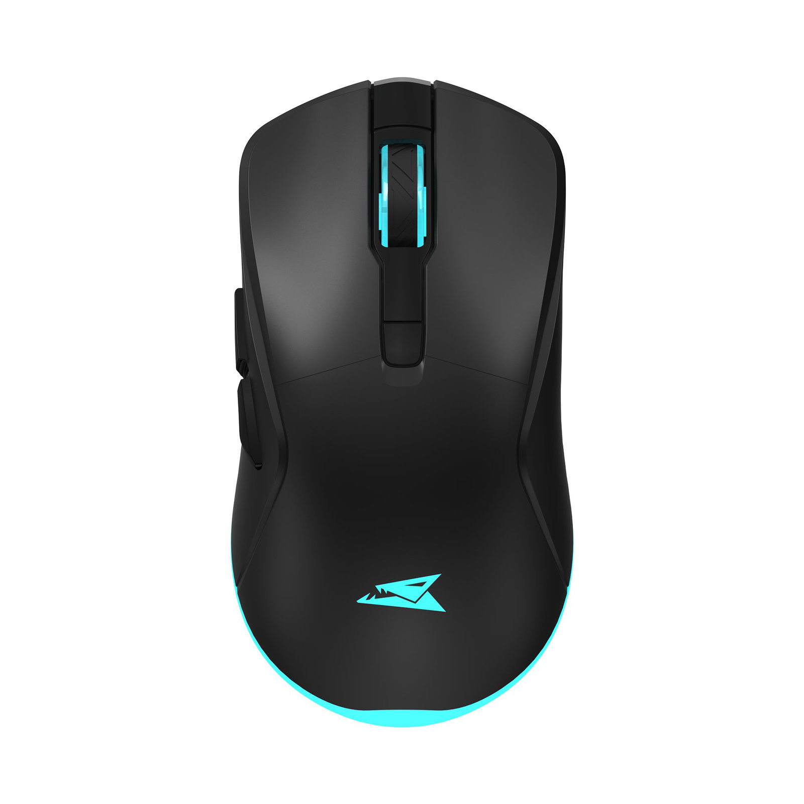 Baracuda TURTLE BGM-121, Black