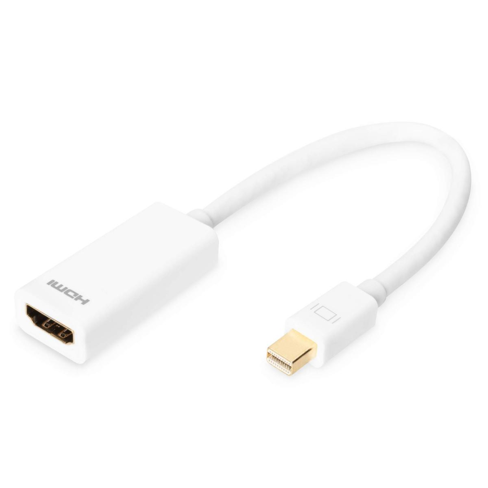 Digitus DisplayPort Adapter Converter