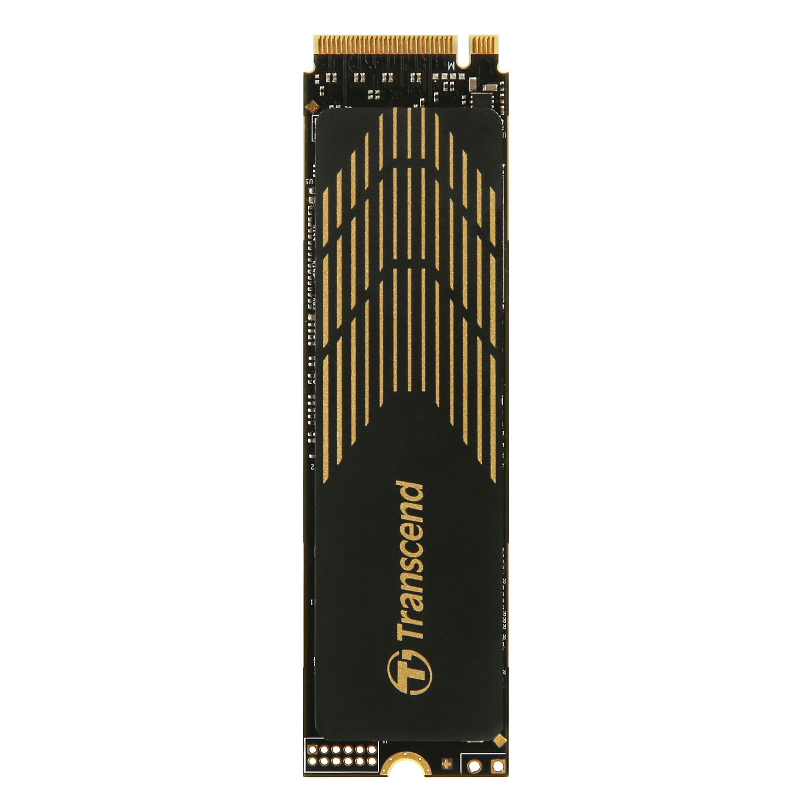 Transcend 240S 500 GB Black gold PCIe 4.0 X4 NVMe M.2 2280