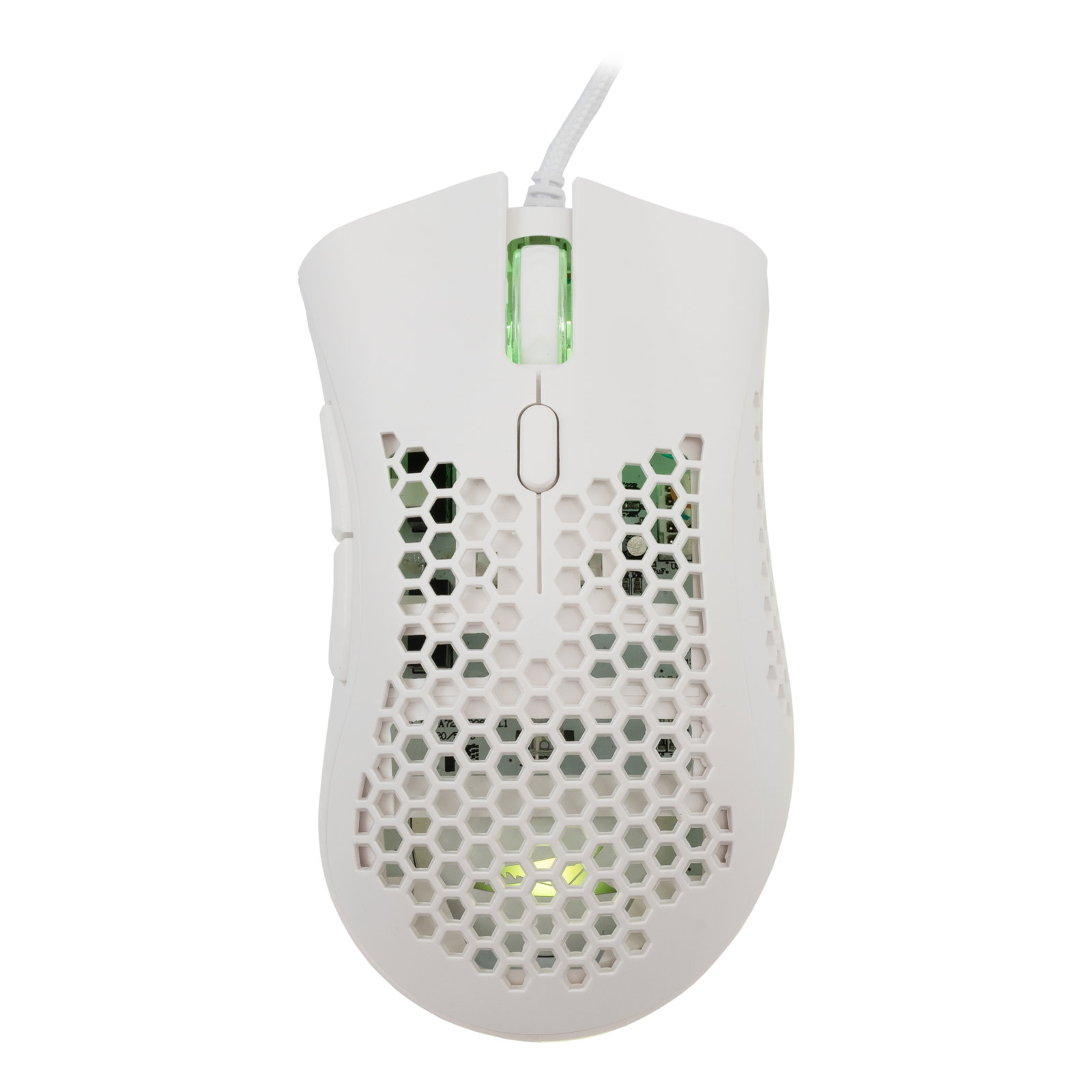 Baracuda CORAL-W BGM-032, White
