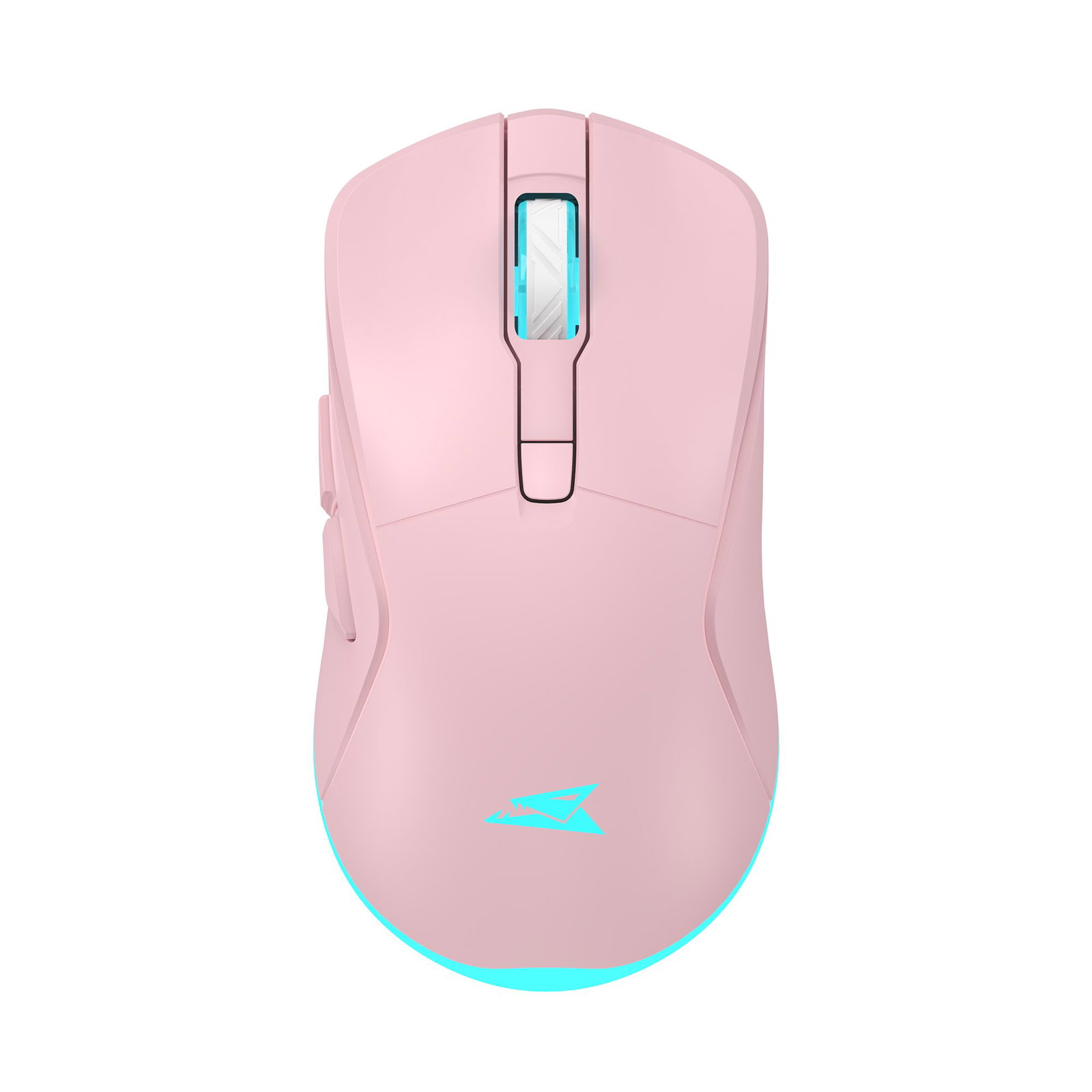 Baracuda TURTLE BGM-124 Pink