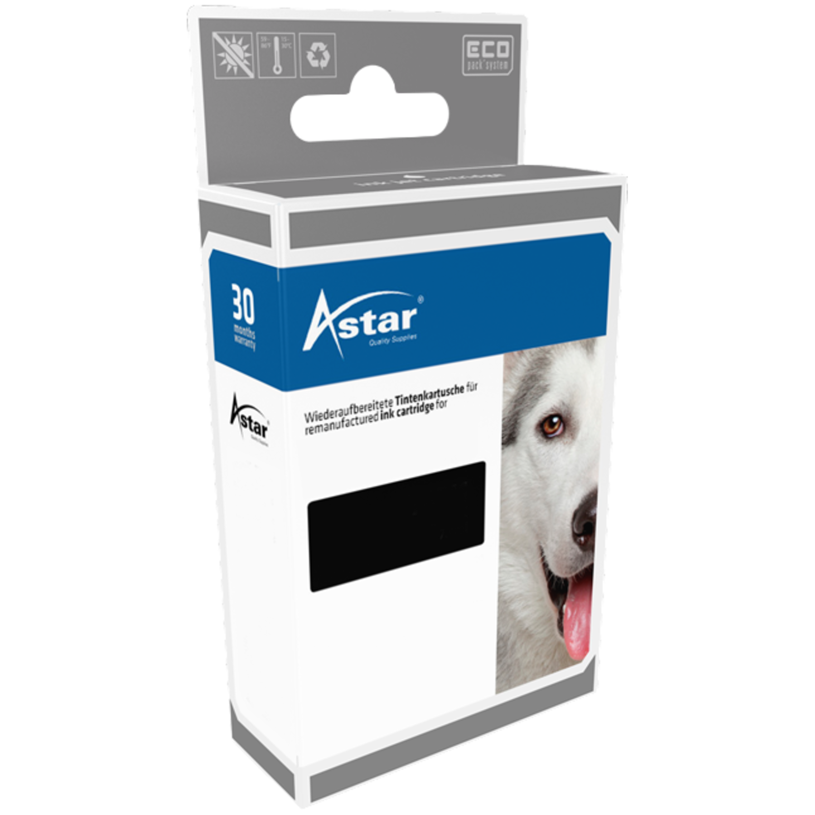 ASTAR Compatible Black Canon Single Pack PIXMA TS3150 TS6150 TS6151 TS6250 TS8150 TS8250 TS9150